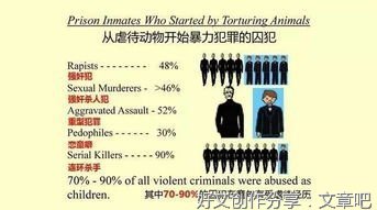 两只小乌龟作文