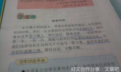 关于老师关爱的作文300字