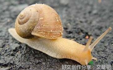 我最喜欢妈妈作文410字左右800字