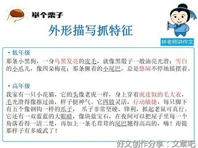 描写人与动物感情的作文600字