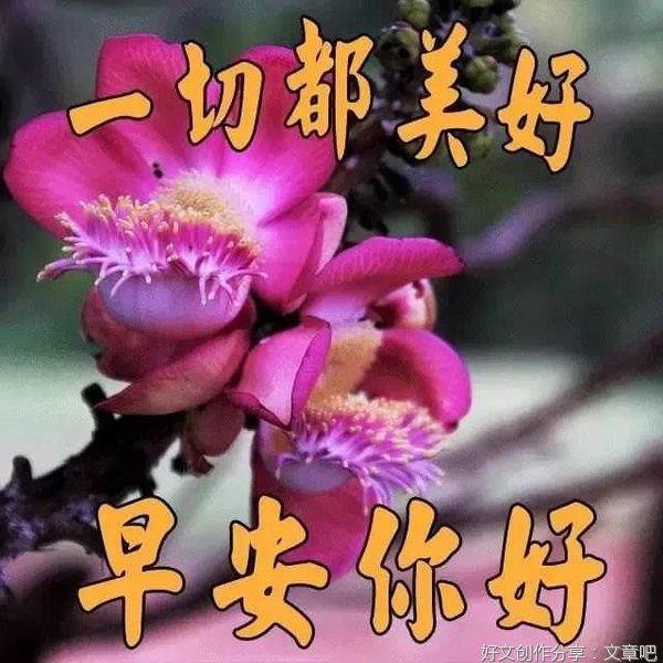 《心与她》的句子