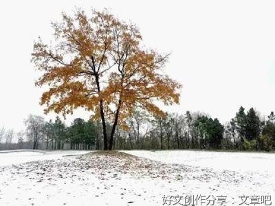 冬之美作文600字