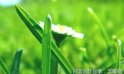 去动物园玩 经典作文