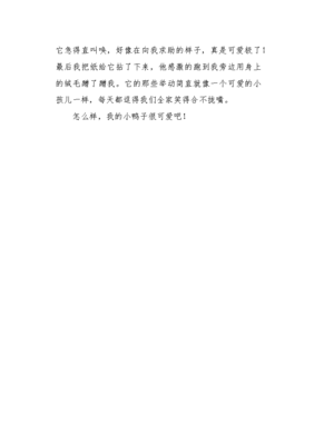 可爱的鸭子通用作文