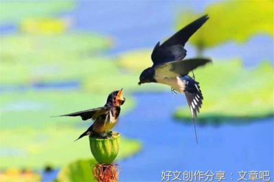 描写小杨生煎的样子的作文600字