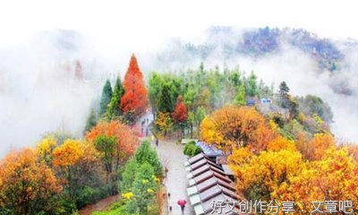 三年下册端午节作文300字