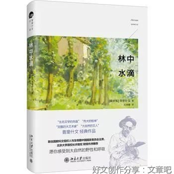 以寒假见闻为主的300字日记