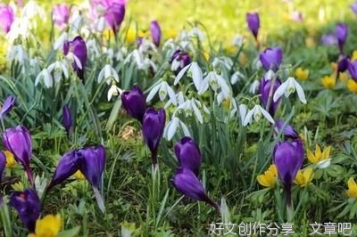 社会的优美句子