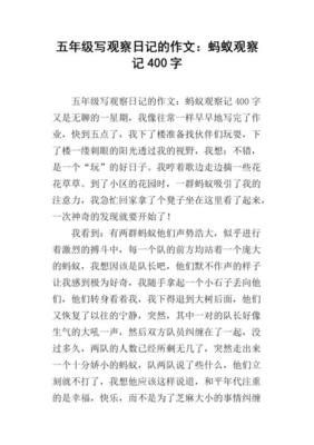 有关小蚂蚁得救了的作文