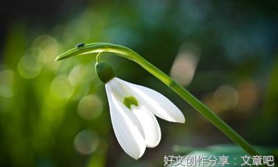 开心的端午节作文(通用10篇)