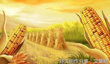 有关心灵深处的一抹阳光的作文