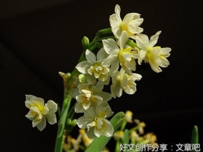 关于真对不起300字的作文300字