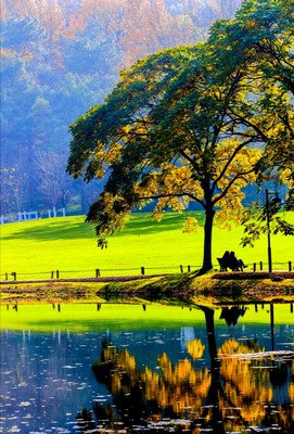 这边风景独好300写事