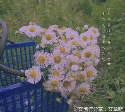 追忆似水年华的优美句子