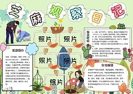植物观察日记