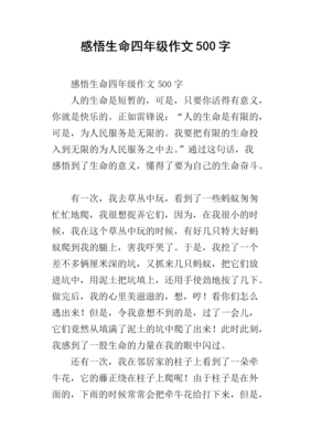 关于生命感悟的作文12210篇