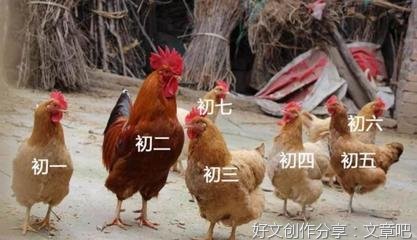 利是钱的使用作文400字