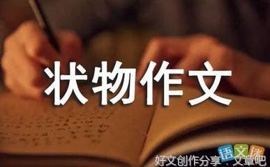 狗尾巴草经典作文