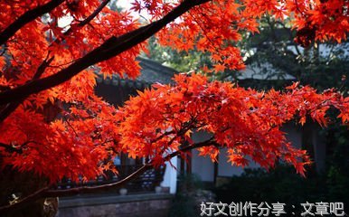秋天的气息作文(通用10篇)