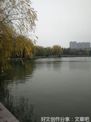 美丽的百荷公园作文