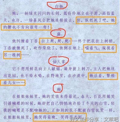 关于直接抒情的作文300字