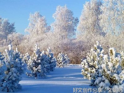 关于冬天雪的作文900字