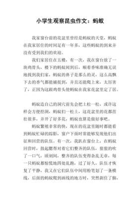 长处和本领作文400字