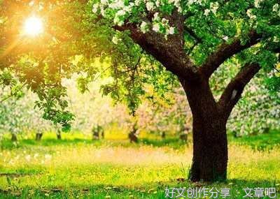 嘻哈优美的句子