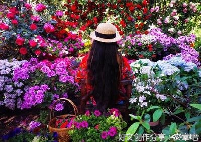 人间好时节经典的句子