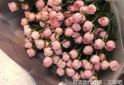 智者优美的句子