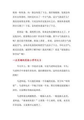 有关记一次有趣的实验的作文