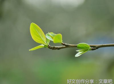 外貌描写公司职员作文八百字(通用10篇)