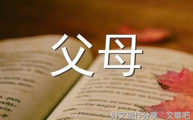 关于父母的爱的作文300字