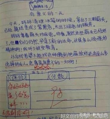 关于我的母亲的作文带评语700字