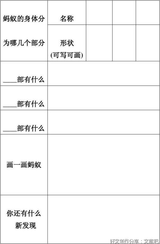 蚂蚁搬东西的观察曰记200