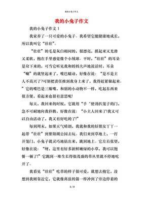 描写小兔子的作文350字
