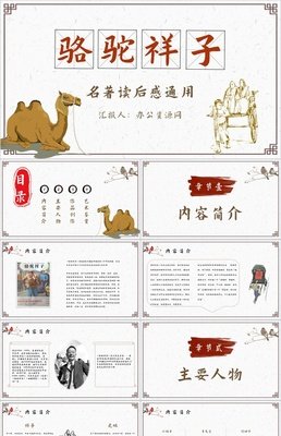 给青年的十二封信读后感1000字
