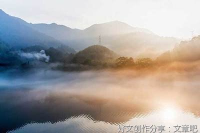 《灵犬莱西》读后感锦集