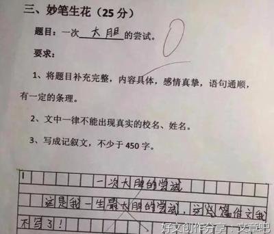 一次大胆的尝试作文