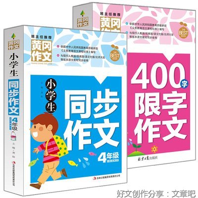 不一样的暑假通用作文