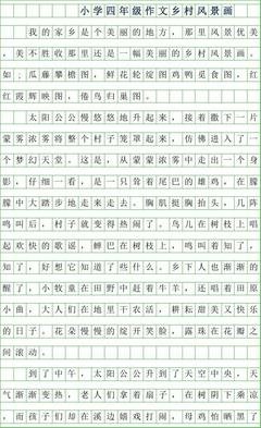 《乡村的一天》的作文