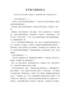 《五年级》的作文