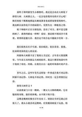 仰望大树作文大全