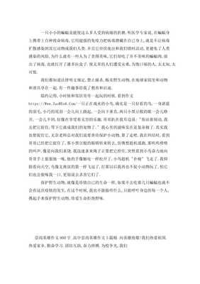 保护野生动物作文800字