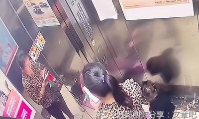 去外婆家拜年作文300字