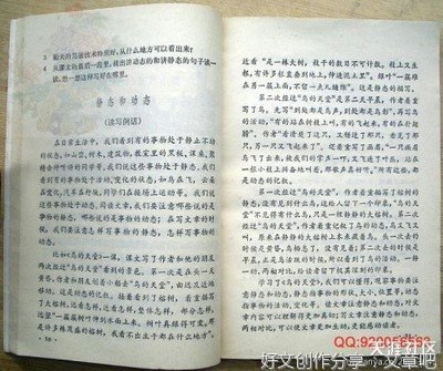写景的作文表达了什么情感300字