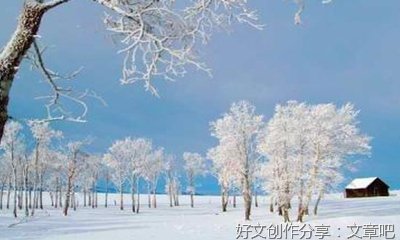 传承端午节文化作文怎么写