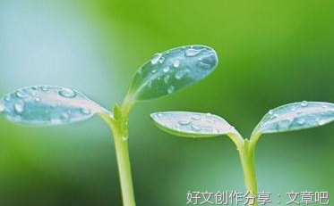 关心帮助他人的作文350500字