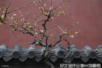 《风雅大宋》读后感锦集