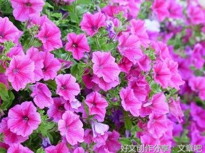 铭心的优美句子